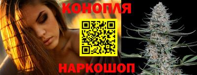 Альфа ПВП Тула