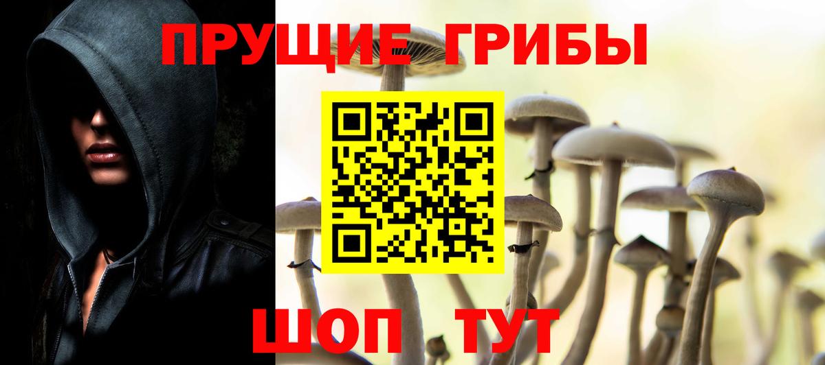 Галлюциногенные грибы MAGIC MUSHROOMS  Вход с VPN  Брянск 